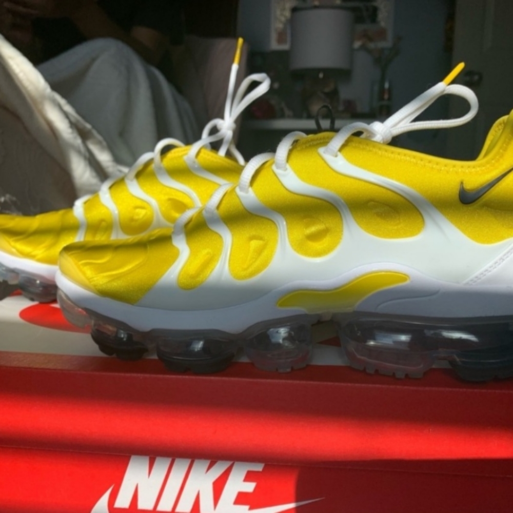 Nike vapor max plus